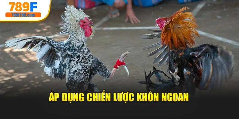 Áp dụng chiến lược khôn ngoan