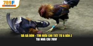 Đá Gà Đòn - Tìm Hiểu Chi Tiết Từ A Đến Z Tại Nhà Cái 789F