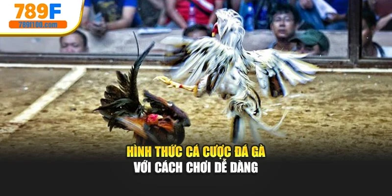 Hình thức cá cược đá gà với cách chơi dễ dàng