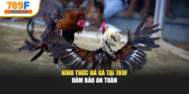 Hình thức đá gà tại 789F đảm bảo an toàn