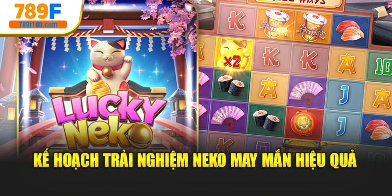 Kế hoạch trải nghiệm Neko may mắn hiệu quả