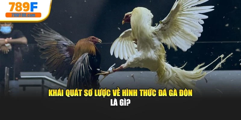 Khái quát sơ lược về hình thức đá gà đòn là gì?