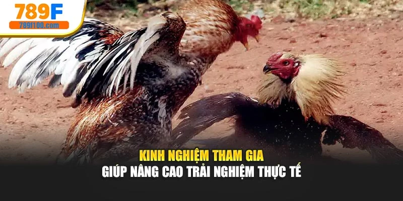 Kinh nghiệm tham gia giúp nâng cao trải nghiệm thực tế