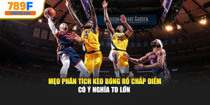 Mẹo phân tích kèo bóng rổ chấp điểm có ý nghĩa to lớn