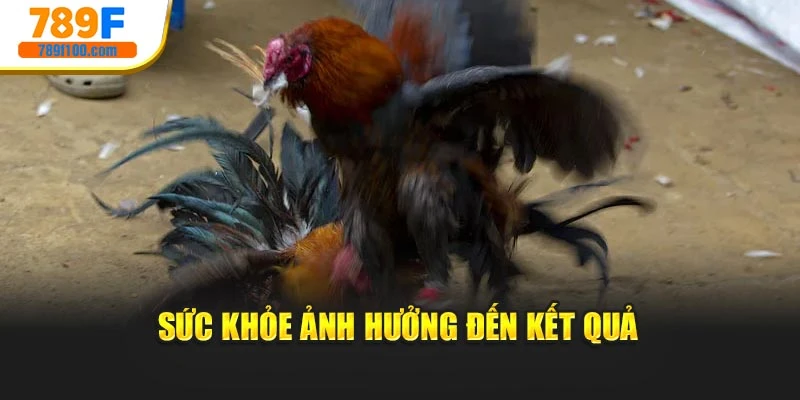 Sức khỏe ảnh hưởng đến kết quả